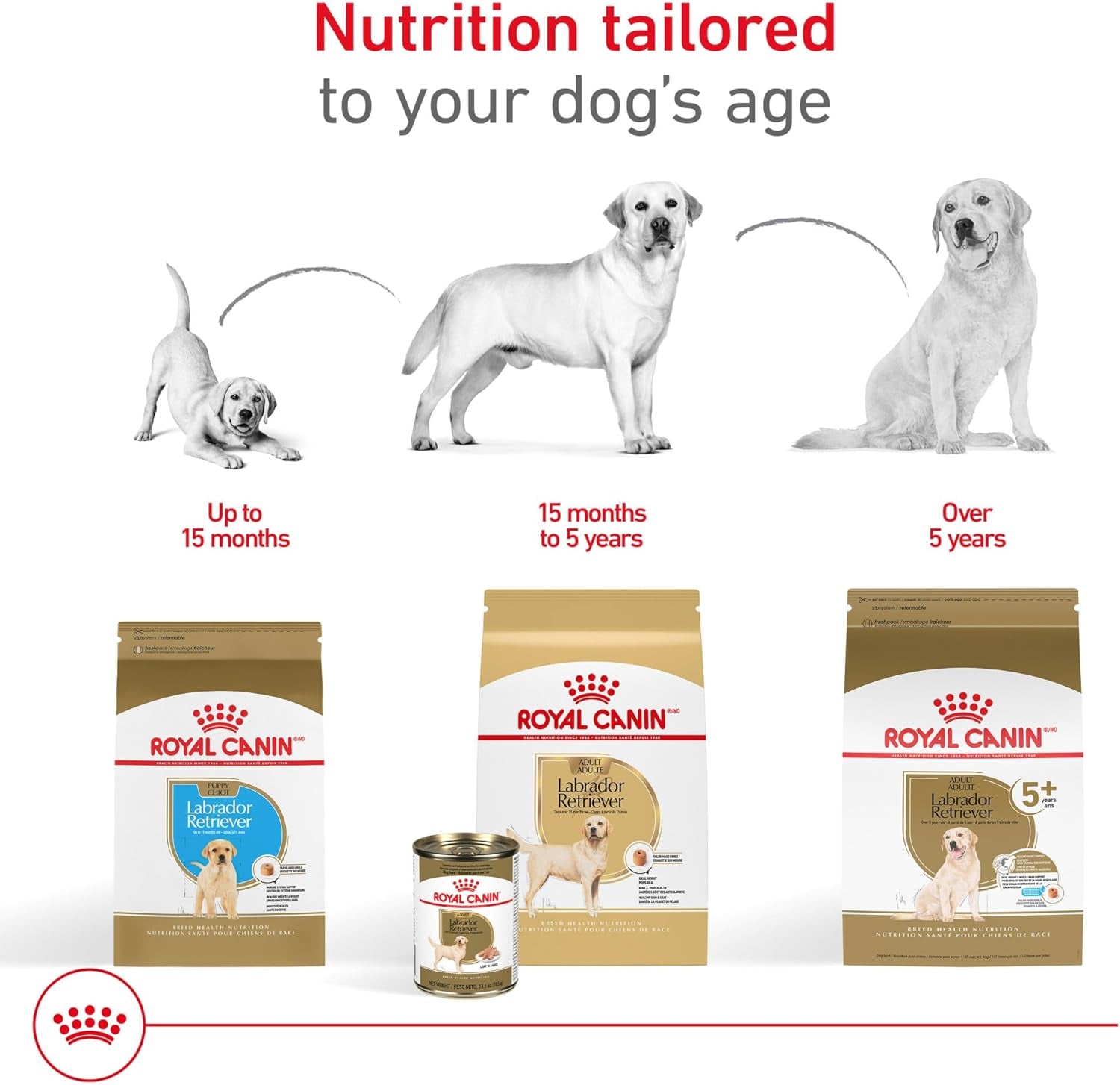 Royal Canin Breed Health Nutrition Labrador Retriever Adult Dry Dog Food, 30-lb